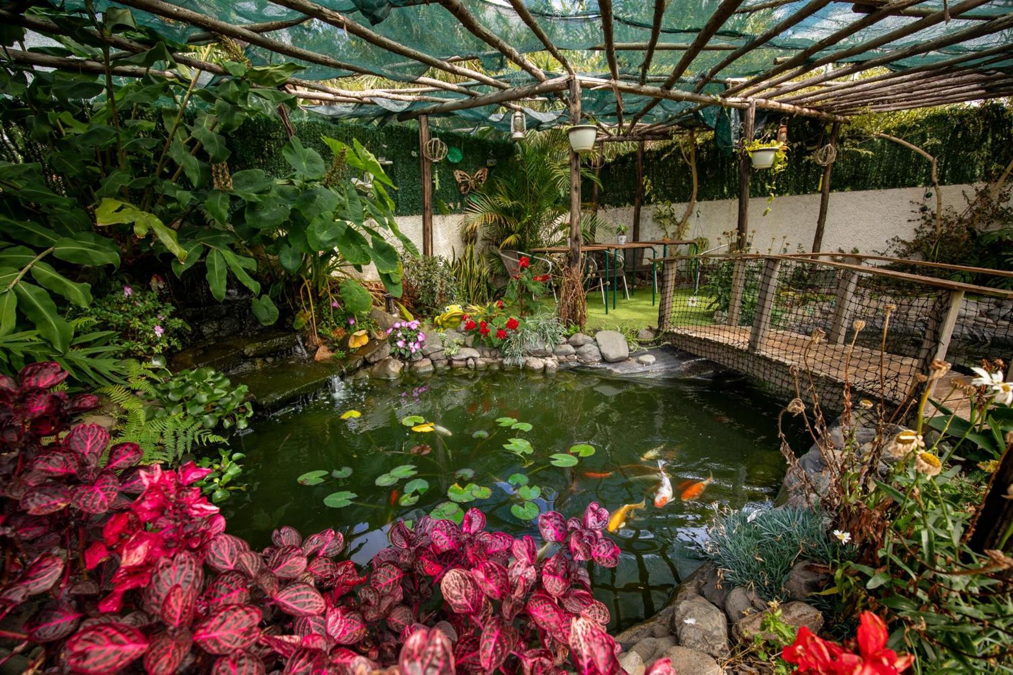 Villa Levada House Prazeres Esterno foto